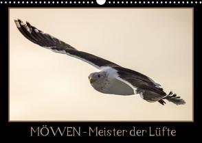 Möwen – Meister der Lüfte (Wandkalender 2022 DIN A3 quer) von Schwarz Fotografie,  Thomas