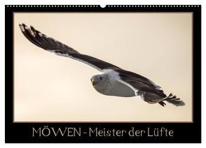 Möwen – Meister der Lüfte (Wandkalender 2024 DIN A2 quer), CALVENDO Monatskalender von Schwarz Fotografie,  Thomas