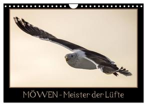 Möwen – Meister der Lüfte (Wandkalender 2024 DIN A4 quer), CALVENDO Monatskalender von Schwarz Fotografie,  Thomas