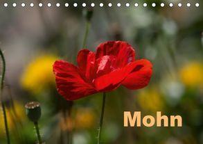 Mohn (Tischkalender 2019 DIN A5 quer) von Renken,  Erwin