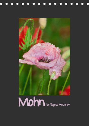 Mohn (Tischkalender 2022 DIN A5 hoch) von Mazunov,  Bogna