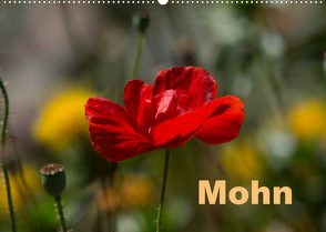 Mohn (Wandkalender 2023 DIN A2 quer) von Renken,  Erwin