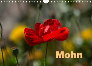 Mohn (Wandkalender 2023 DIN A4 quer) von Renken,  Erwin