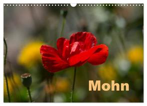 Mohn (Wandkalender 2024 DIN A3 quer), CALVENDO Monatskalender von Renken,  Erwin