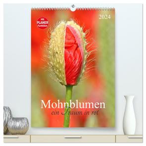 Mohnblumen-ein Traum in rot (hochwertiger Premium Wandkalender 2024 DIN A2 hoch), Kunstdruck in Hochglanz von SchnelleWelten,  SchnelleWelten