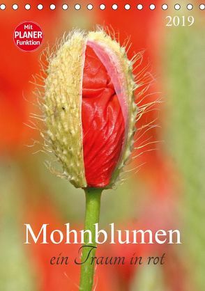 Mohnblumen-ein Traum in rot (Tischkalender 2019 DIN A5 hoch) von SchnelleWelten