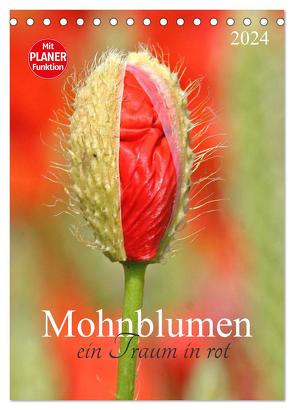 Mohnblumen-ein Traum in rot (Tischkalender 2024 DIN A5 hoch), CALVENDO Monatskalender von SchnelleWelten,  SchnelleWelten