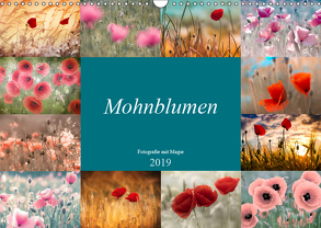 Mohnblumen – Fotografie mit Magie (Wandkalender 2019 DIN A3 quer) von Delgado,  Julia