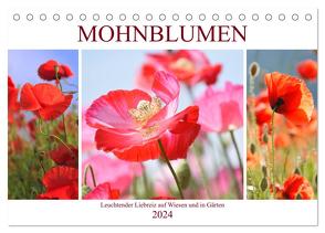 Mohnblumen. Leuchtender Liebreiz auf Wiesen und in Gärten (Tischkalender 2024 DIN A5 quer), CALVENDO Monatskalender von Hurley,  Rose