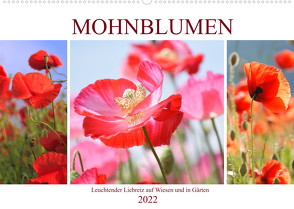 Mohnblumen. Leuchtender Liebreiz auf Wiesen und in Gärten (Wandkalender 2022 DIN A2 quer) von Hurley,  Rose