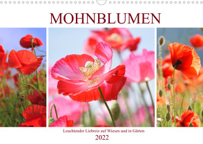 Mohnblumen. Leuchtender Liebreiz auf Wiesen und in Gärten (Wandkalender 2022 DIN A3 quer) von Hurley,  Rose
