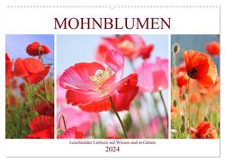 Mohnblumen. Leuchtender Liebreiz auf Wiesen und in Gärten (Wandkalender 2024 DIN A2 quer), CALVENDO Monatskalender von Hurley,  Rose