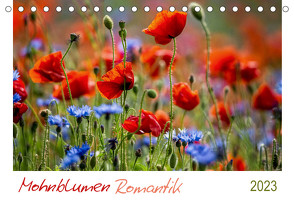 Mohnblumen Romantik (Tischkalender 2023 DIN A5 quer) von Geisdorf,  Linda