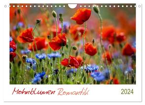 Mohnblumen Romantik (Wandkalender 2024 DIN A4 quer), CALVENDO Monatskalender von Geisdorf,  Linda