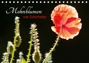 Mohnblumen – rote Schönheiten (Tischkalender 2021 DIN A5 quer) von Bölts,  Meike