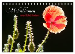 Mohnblumen – rote Schönheiten (Tischkalender 2024 DIN A5 quer), CALVENDO Monatskalender von Bölts,  Meike