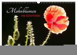 Mohnblumen – rote Schönheiten (Wandkalender 2024 DIN A3 quer), CALVENDO Monatskalender von Bölts,  Meike