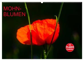 Mohnblumen (Wandkalender 2024 DIN A2 quer), CALVENDO Monatskalender von Jäger,  Anette/Thomas