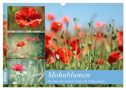 Mohnblumen (Wandkalender 2024 DIN A3 quer), CALVENDO Monatskalender von Deter,  Thomas