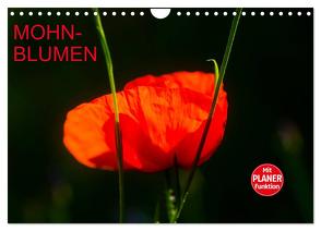 Mohnblumen (Wandkalender 2024 DIN A4 quer), CALVENDO Monatskalender von Jäger,  Anette/Thomas