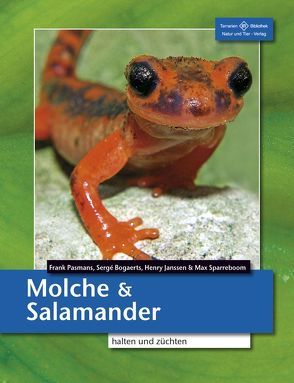 Molche und Salamander halten und züchten von Bogaerts,  Sergé, Janssen,  Henry, Pasmans,  Frank, Sparreboom,  Max