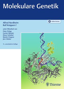 Molekulare Genetik von Droege,  Peter, Knippers,  Rolf, Meister,  Gunter, Nordheim,  Alfred, Schiebel,  Elmar