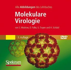 Molekulare Virologie von Falke,  Dietrich, Modrow,  Susanne