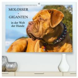 Molosser – Giganten in der Welt der Hunde (hochwertiger Premium Wandkalender 2024 DIN A2 quer), Kunstdruck in Hochglanz von Starick,  Sigrid