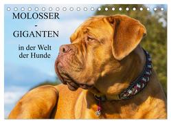 Molosser – Giganten in der Welt der Hunde (Tischkalender 2024 DIN A5 quer), CALVENDO Monatskalender von Starick,  Sigrid