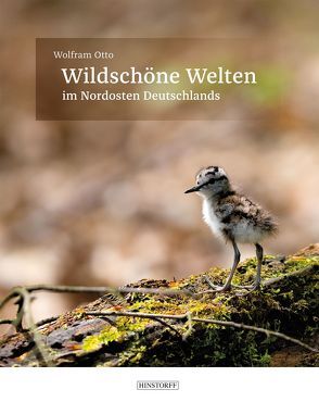 Wildschöne Welten in Norddeutschland von Otto,  Wolfram