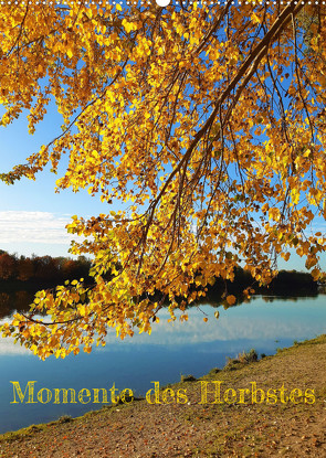 Momente des Herbstes (Wandkalender 2023 DIN A2 hoch) von Gillner,  Martin