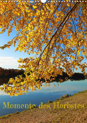 Momente des Herbstes (Wandkalender 2023 DIN A3 hoch) von Gillner,  Martin