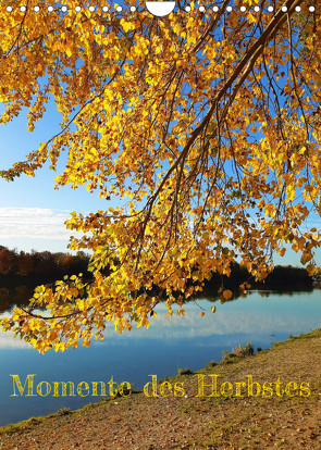Momente des Herbstes (Wandkalender 2023 DIN A4 hoch) von Gillner,  Martin