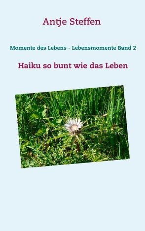 Momente des Lebens – Lebensmomente Band 2 von Steffen,  Antje