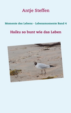 Momente des Lebens – Lebensmomente Band 4 von Steffen,  Antje