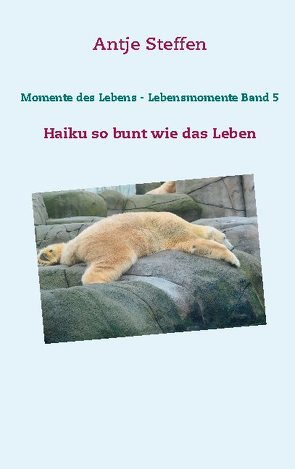 Momente des Lebens – Lebensmomente Band 5 von Steffen,  Antje