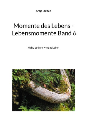 Momente des Lebens – Lebensmomente Band 6 von Steffen,  Antje