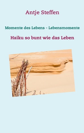 Momente des Lebens – Lebensmomente von Steffen,  Antje