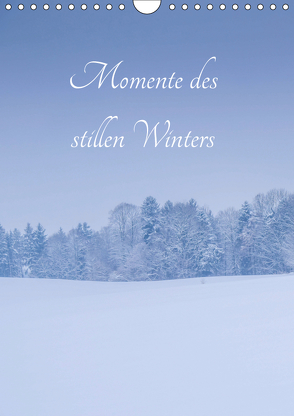 Momente des stillen Winters (Wandkalender 2019 DIN A4 hoch) von Wasinger,  Renate