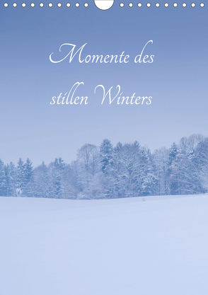 Momente des stillen Winters (Wandkalender 2020 DIN A4 hoch) von Wasinger,  Renate