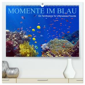 Momente im Blau – Ein Terminplaner für Unterwasser-Freunde (hochwertiger Premium Wandkalender 2024 DIN A2 quer), Kunstdruck in Hochglanz von Melz,  Tina