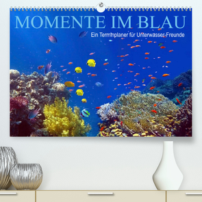 Momente im Blau – Ein Terminplaner für Unterwasser-Freunde (Premium, hochwertiger DIN A2 Wandkalender 2023, Kunstdruck in Hochglanz) von Melz,  Tina