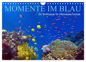 Momente im Blau – Ein Terminplaner für Unterwasser-Freunde (Wandkalender 2024 DIN A4 quer), CALVENDO Monatskalender von Melz,  Tina