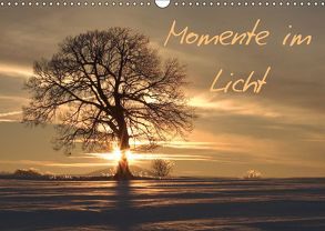 Momente im Licht (Wandkalender 2019 DIN A3 quer) von Engelhardt, Silvio