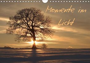 Momente im Licht (Wandkalender 2019 DIN A4 quer) von Engelhardt, Silvio