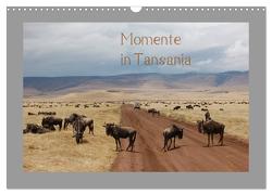 Momente in Tansania (Wandkalender 2024 DIN A3 quer), CALVENDO Monatskalender von Falk,  Dietmar