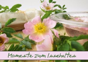 Momente zum Innehalten (Posterbuch DIN A3 quer) von Rau,  Heike