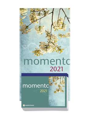 momento 2021 – Abreißkalender mit Rückwand und Aufstellfuß von Fricke-Hein,  Hans-Wilhelm, Winterhoff,  Birgit
