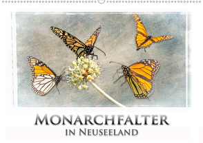 Monarchfalter in Neuseeland (Wandkalender 2020 DIN A2 quer) von Bort,  Gundis
