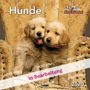 Monatskalender Keith Kimberlin Hunde 2020 von garant Verlag GmbH